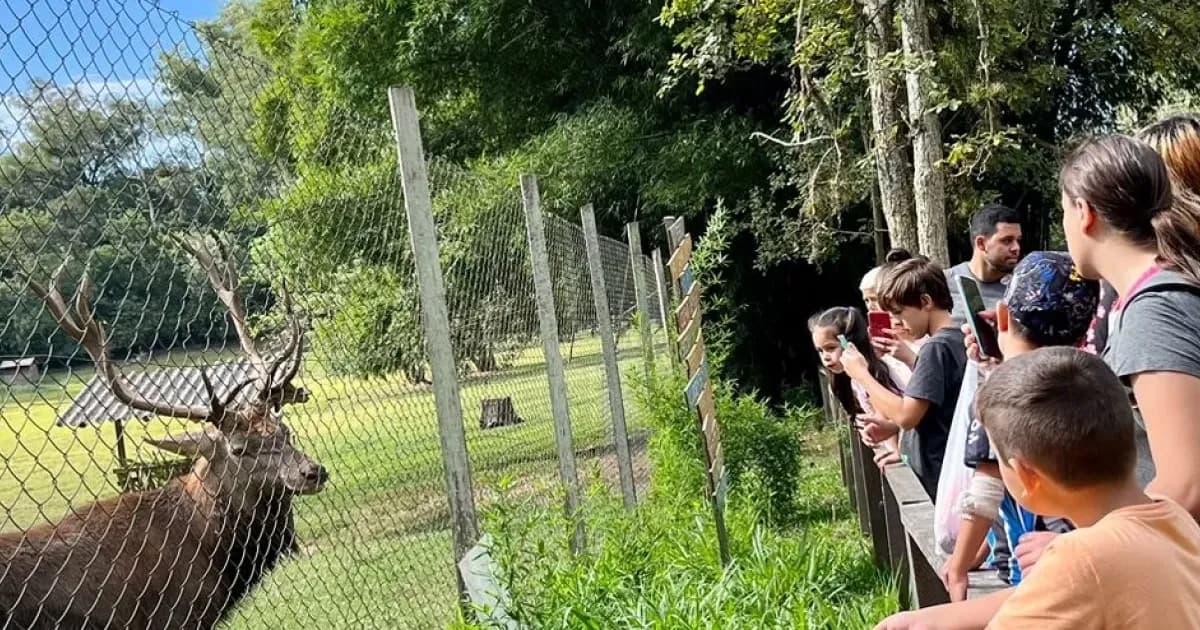 Viva a magia do Zoológico de Porto Alegre: interação animal e educação ambiental em uma experiência única. Aprenda sobre conservação e biodiversidade.